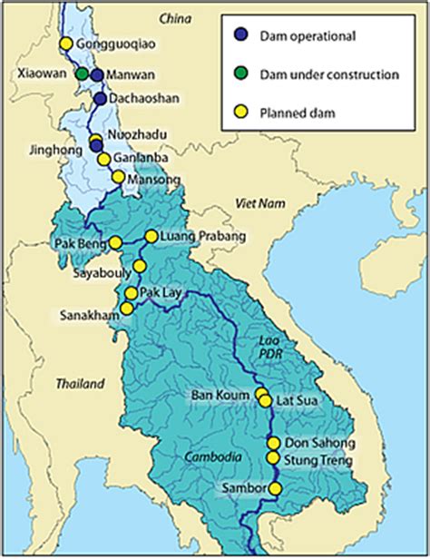 Mekong dams threaten rare giant fish | WWF