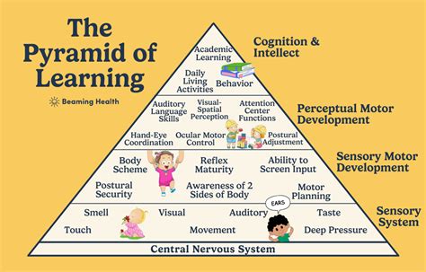 Adult Learning Theory Pyramid