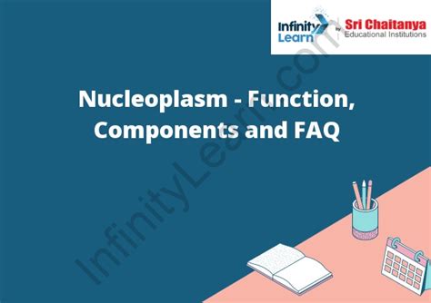 Nucleoplasm - Function, Components and FAQ - Infinity Learn by Sri ...