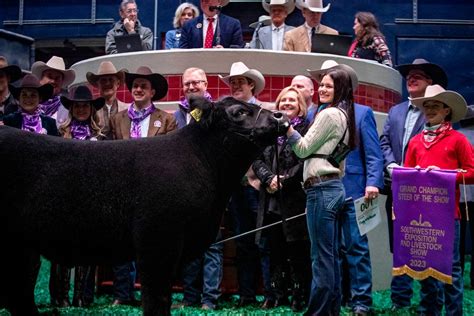 Fort Worth Stock Show’s Grand Champion Steer smashes record with ...