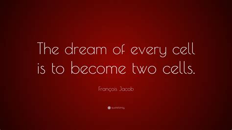 François Jacob Quote: “The dream of every cell is to become two cells.”