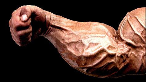 How To Get Bigger Forearms And Wrists - Godlike Arm Workout • SpotMeBro.com