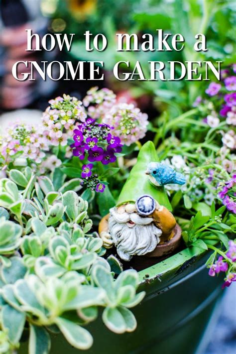 Add some whimsy to your garden by creating a gnome garden! Create a ...