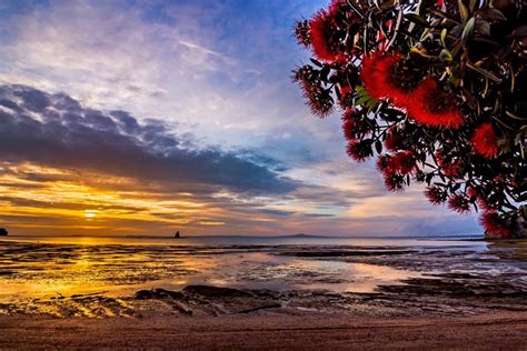 Matakatia Bay. Hibiscus Coast New Zealand. Roscoe