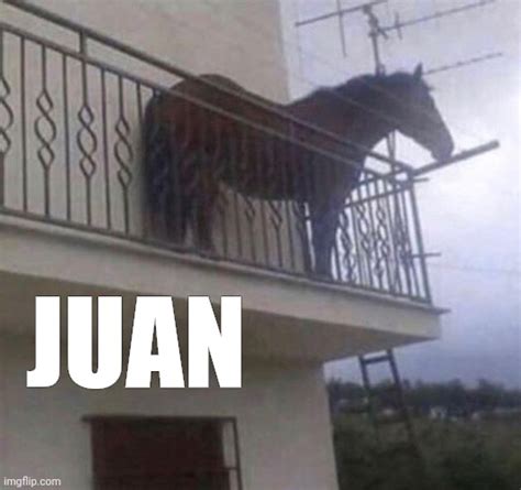 juan Memes & GIFs - Imgflip