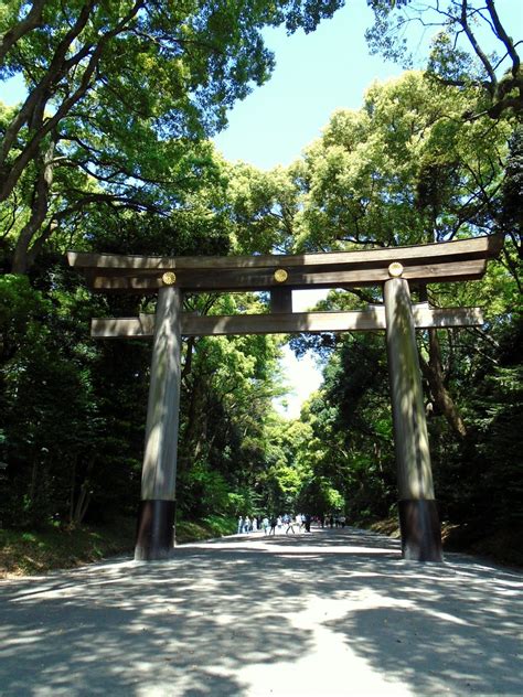 Exploring Tokyo: Meiji Shrine | Meiji shrine, Japan travel, Tokyo travel