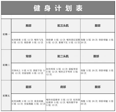 个人健身计划表Excel模板_个人健身计划表Excel模板下载_个人日常 > 其他-脚步网