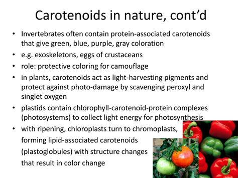 Beta-Carotene: Its Benefits And Role In Nutrition By, 50% OFF