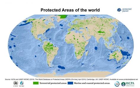 Connectivity and climate adaptability for protected area networks ...