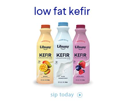 Lifeway Kefir Smoothie Recipes | Bryont Blog