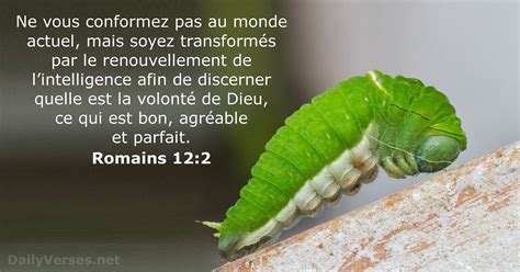 72 Versets Biblique sur l'Obéissance - DailyVerses.net