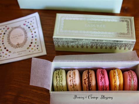 Laduree Paris - Tea Room, Macaron, and Pastry review!! - Petite Haus