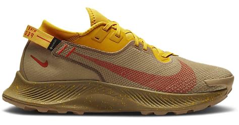 Nike Pegasus Trail 2 Gore-tex in Brown for Men - Lyst