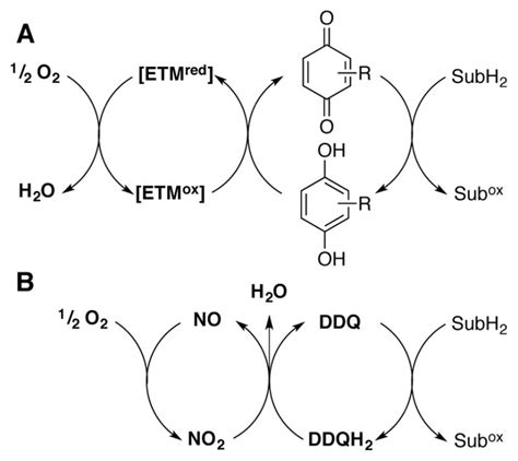 Quinone-Catalyzed Selective Oxidation of Organic Molecules. - Abstract - Europe PMC