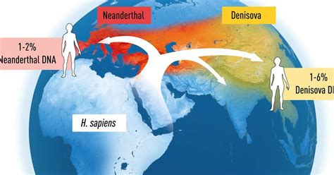 Neanderthal Dna Map