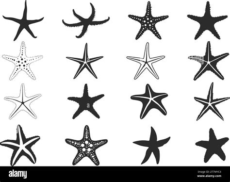 Starfish silhouette, Starfish icon, Starfish outline, Tropical starfish, Starfish bundle set ...