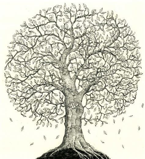 Family tree | Family tree drawing, Tree drawing, Family tree artwork