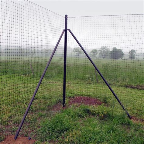 Deer fence kits - Deer in the garden | Deerfence Usa