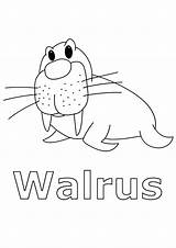 Arctic Animals Coloring Pages For Preschoolers sketch template