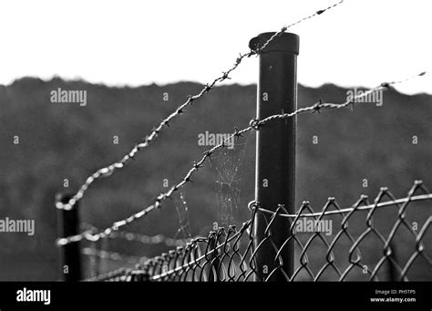 Metal wire bind Black and White Stock Photos & Images - Alamy