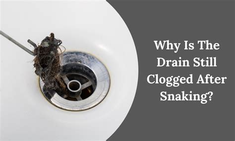 Shower Drain Still Clogged After Snaking [Expert Tips]