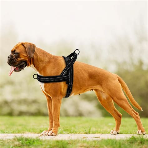 2020 No Pull Nylon Dog Harness Soft Padded Reflective Pet Harnesses Vest For Walking Small ...