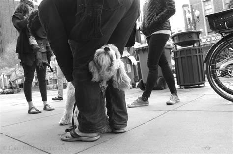 A Dog's Perspective - Street Photography In Berkeley, CA | Liam Crotty ...