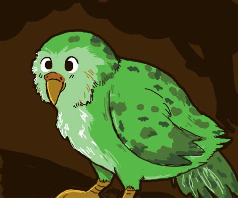 Kakapo (bird) - Drawception