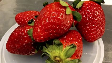 Science-U @ Home / Strawberry DNA Experiment