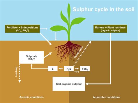 K+S Minerals and Agriculture GmbH - Sulphur