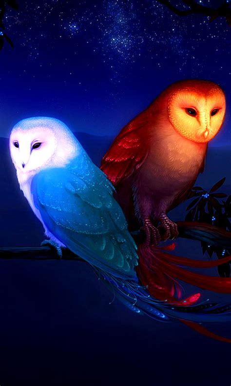 85+ Wallpaper Cute Owl Images & Pictures - MyWeb