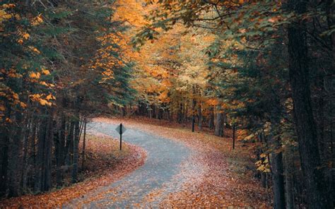 18 Things to Do in the Adirondack Mountains’ Fall Foliage Season