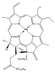 Structure and Reactions of Chlorophyll