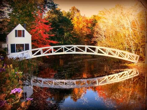 Maine Fall Foliage Wallpaper - WallpaperSafari