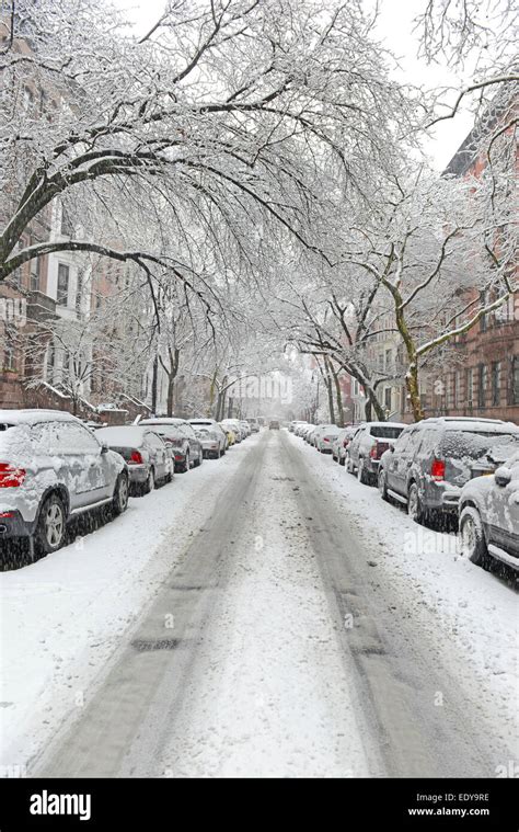 Central Park in the snow, Manhattan, New York City Stock Photo - Alamy