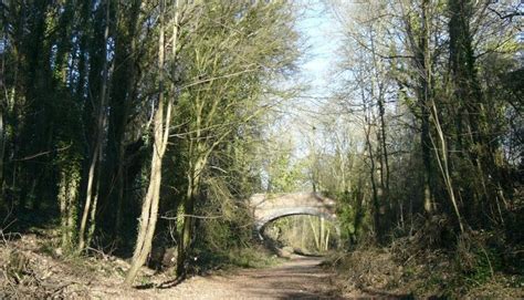 Cycle the Meon Valley Trail - Visit Hampshire