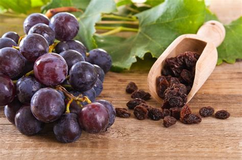 Grapes and Raisins Can Be Dangerous for Your Pets | ThriftyFun