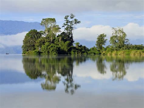 Lore Lindu National Park | Sulawesi | Roamindonesia.com