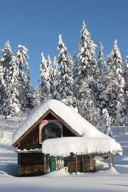 Cabin in the Snow - Durango, Colorado | Cabin in the snow, Colorado ...