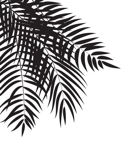 Palm Tree Leaf Silhouette Background Vector Illustrat 3043408 Vector Art at Vecteezy