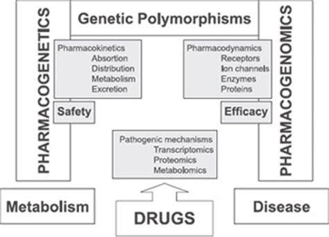 Pharmacogenomics | acallej's blog