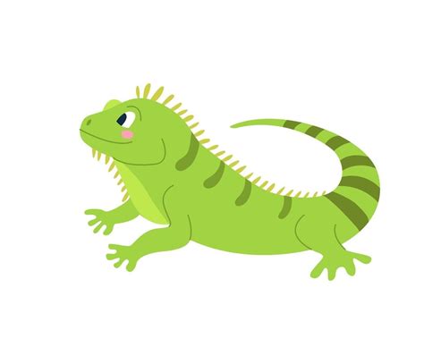 iguana engraçada fofa em uma imagem vetorial de fundo branco em desenho ...