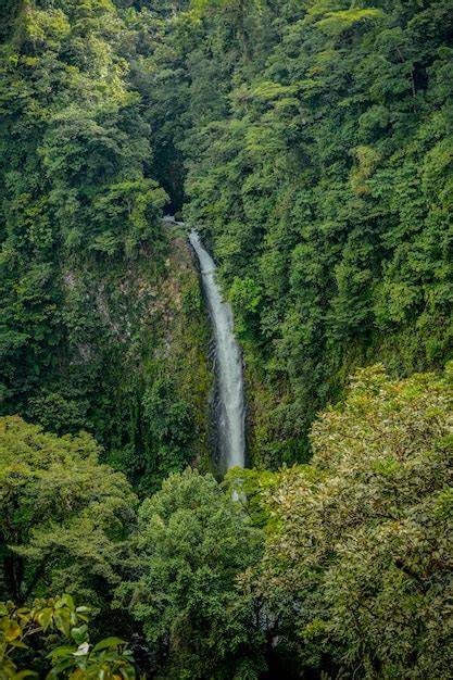 Premium Photo | Waterfall in San Carlos, Costa Rica.