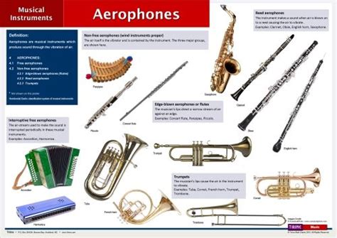 Aerophones. In the Hornbostel-Sachs classification system, Aerophones are instruments which ...