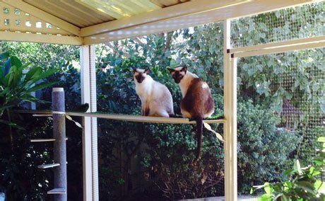 An awesome DIY for an outdoor patio, for cats. You heard it here first ...