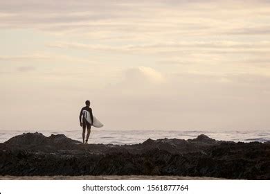 Surfing On Gold Coast Australia Stock Photo 1561877764 | Shutterstock