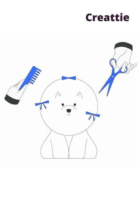 Dog Grooming Animated Illustration [Video] | Dog animation, Pet care business, Pet branding