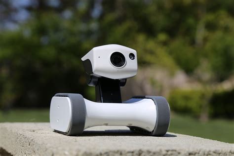 You can buy a sentry robot for your home - The Verge