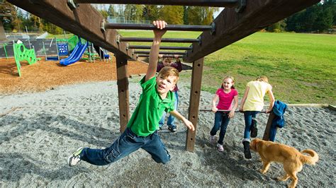 Monkey bars alert: Playground concussions are on the rise - ABC11 Raleigh-Durham