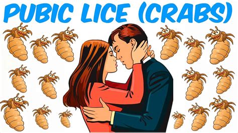 Pubic Lice (Crabs) - YouTube